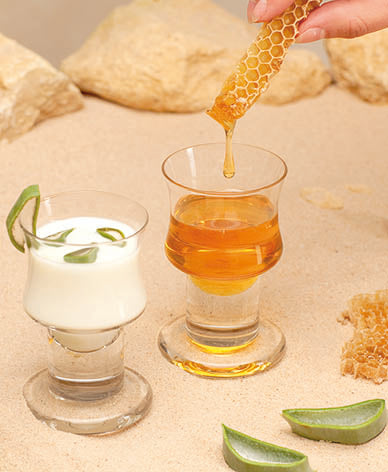 Bio Aloe Arborescens Saft mit Honig