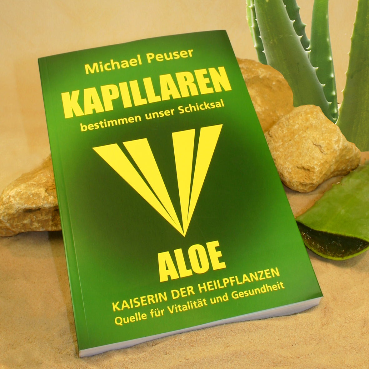 Kapillaren bestimmen unser Schicksal
