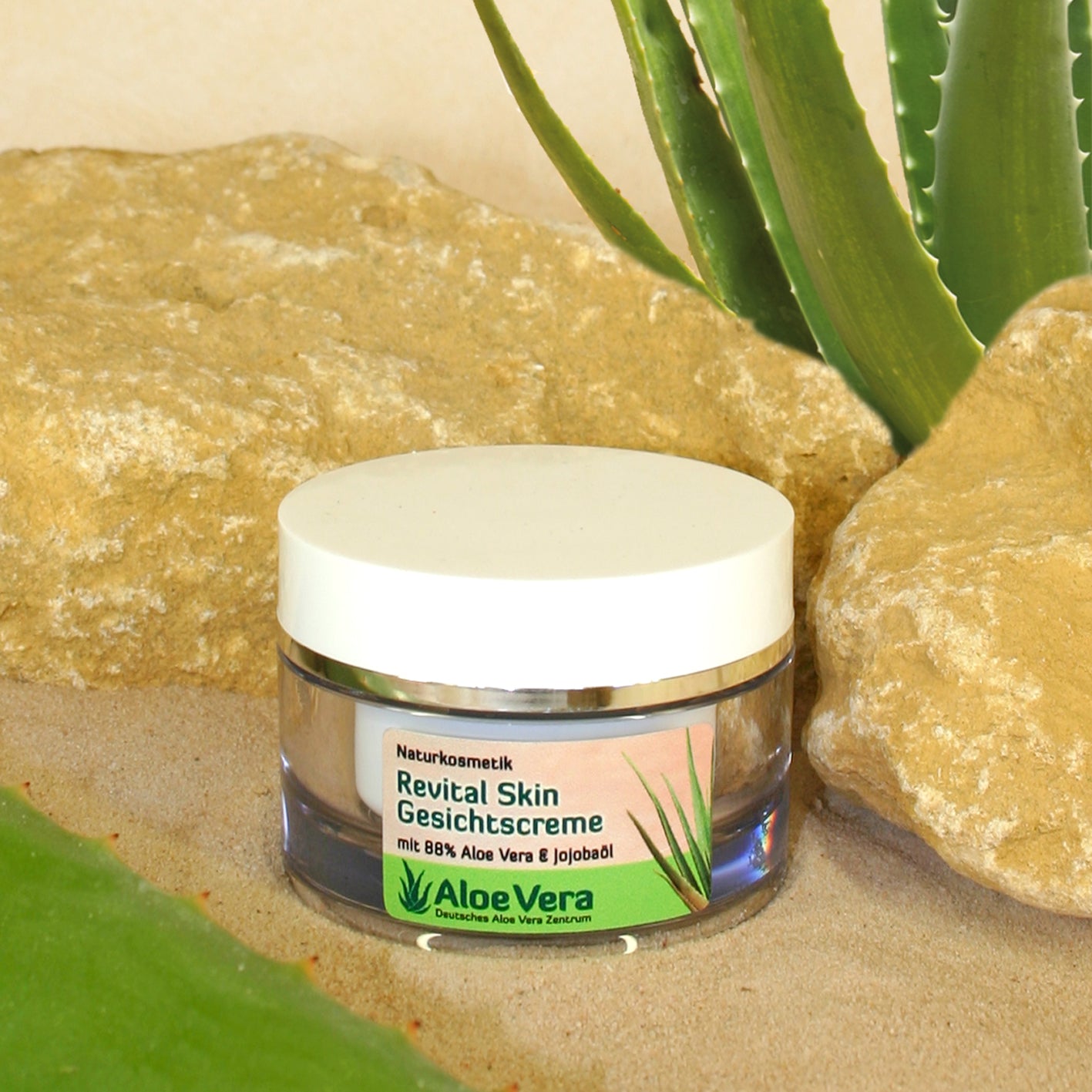 Revital Skin Gesichtscreme Aloe Vera